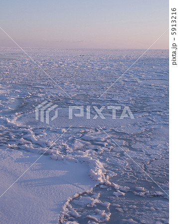 朝の流氷原 朝の流氷原 5913216