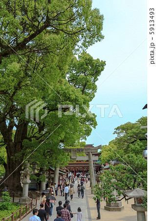 大宰府 参道 大宰府 参道 5913493