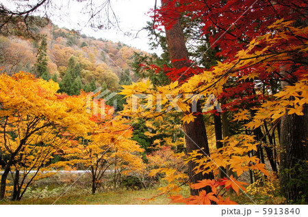 2012  秋　せせらぎ街道 5913840