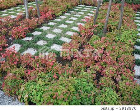 市松模様ガーデン 5913970