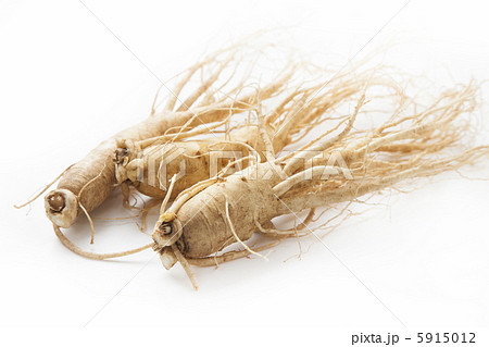 高麗人参 高麗人参 5915012