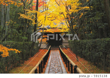 紅葉の大徳寺・高桐院 5915138