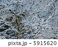 雪 5915620