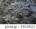 雪 5915622