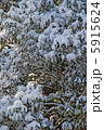 雪 5915624