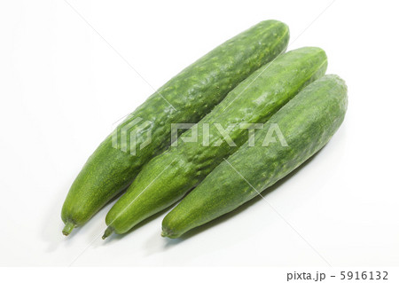 夏野菜・キュウリ 5916132