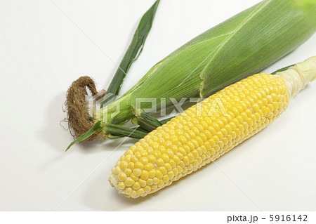 夏野菜・とうもろこし 5916142