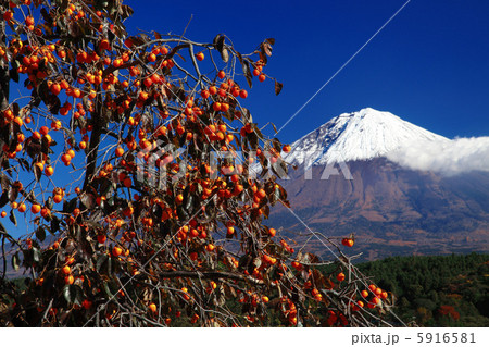 柿と富士山 5916581