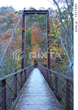 檜原都民の森 檜原都民の森 5917094