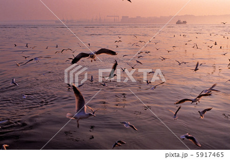 リスボン湾の夕暮れ 5917465