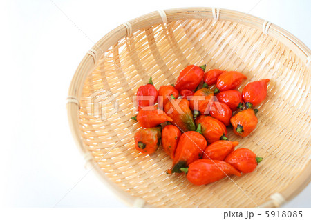 激辛トウガラシ　ブートジョロキア 5918085