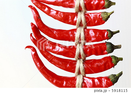 赤い南蛮の乾燥 赤い南蛮の乾燥 5918115