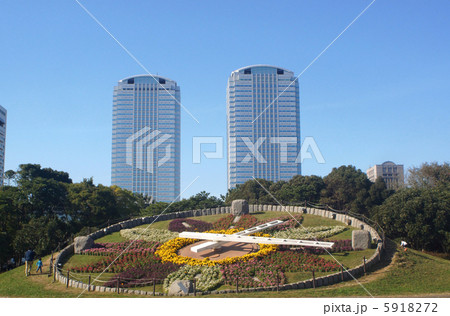 県立幕張公園 5918272