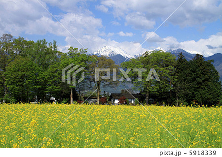 安曇野から望む常念岳 安曇野から望む常念岳 5918339