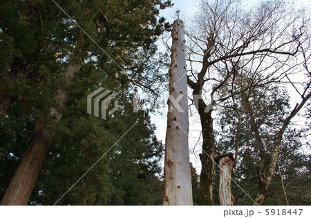 上社の御柱 5918447