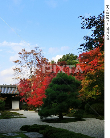 紅葉 5918704