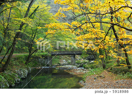 広島 神石高原町 帝釈峡 広島 神石高原町 帝釈峡 5918986