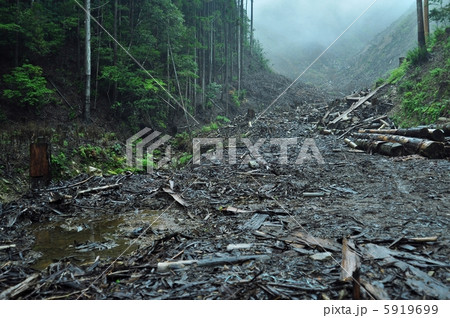 伐採地、高知 5919699