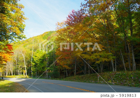 せせらぎ街道　秋 5919813