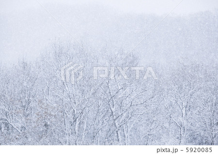 吹雪 5920085