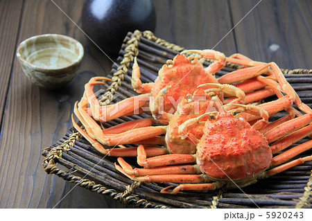 せいこがに 5920243