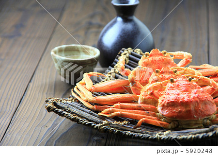 せいこがに せいこがに 5920248