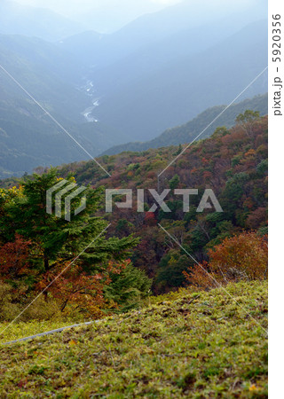 紅葉の剣山麓 紅葉の剣山麓 5920356