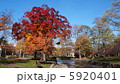 小川のほとりの紅葉 5920401
