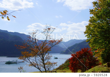 秋の矢作川　The Yahagi-River in Fall  5920528