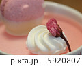 桜の花とマカロン 5920807