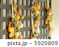 収穫 5920809