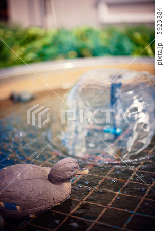 Decorative fountains in garden, effuse water 5923884