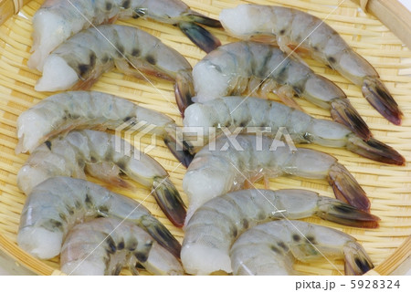 えび えび 5928324