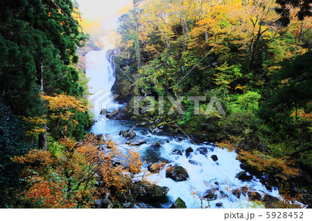 奈曽の白滝２ 5928452