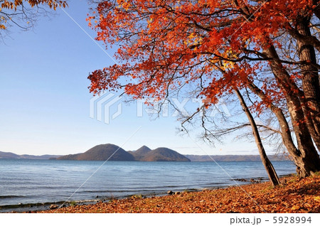 洞爺湖の紅葉 洞爺湖の紅葉 5928994