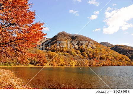 洞爺湖の紅葉の写真素材