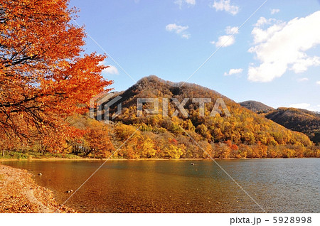 洞爺湖の紅葉の写真素材 [5928998] - PIXTA