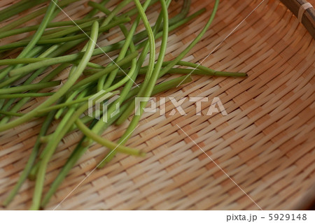 芋の蔓の食材(ざる入り) 芋の蔓の食材(ざる入り) 5929148
