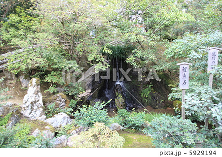 金閣寺　鹿苑寺　龍門滝　鯉魚石 5929194
