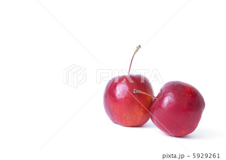 寄り添う林檎 5929261