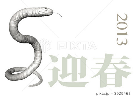 70以上 白蛇 リアル 蛇 イラスト 最も欲しかった壁紙のウェブサイト