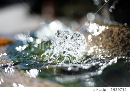 水 5929752
