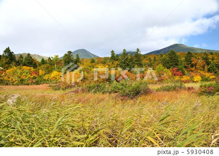 八甲田高原の紅葉 5930408