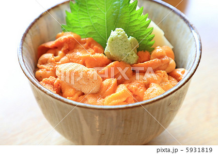 おいしい北海道のウニ丼 5931819