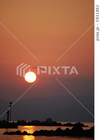 夕暮れの海とカモメ 5931862