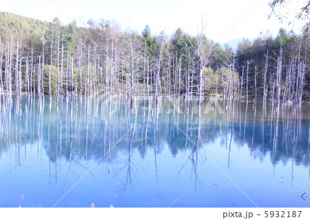 美瑛の青い池 5932187