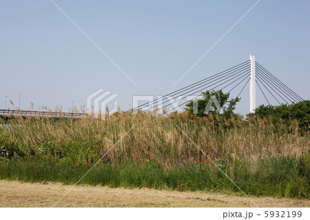 初夏の風景 5932199