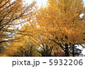 紅葉 5932206