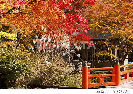 高野山の紅葉 5932229