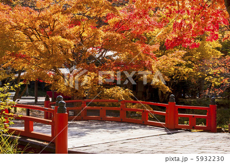 高野山の紅葉 5932230
